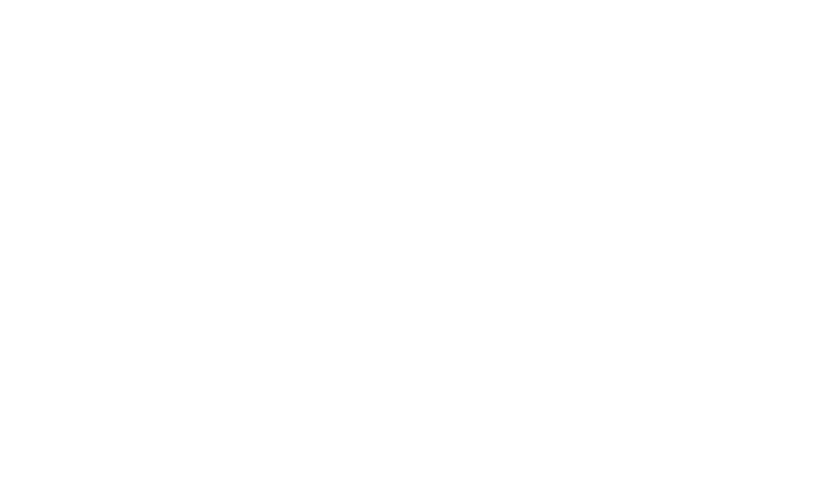 Elite Express International